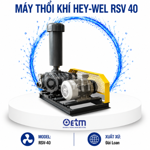 Máy thổi khí Hey-Wel RSV 40